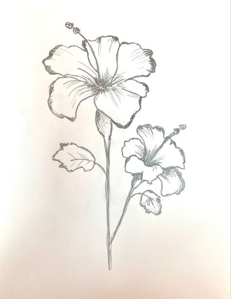 Detailed Flower Drawings, Flowers Aesthetic Drawing Pencil, Lilys Drawings Easy, Pinterest Flowers Drawing, Lilly Sketch Flowers, Sketch Of Lily Flower, Flower Drawing Sketch, Hibiscus Sketch, Drawings With Charcoal