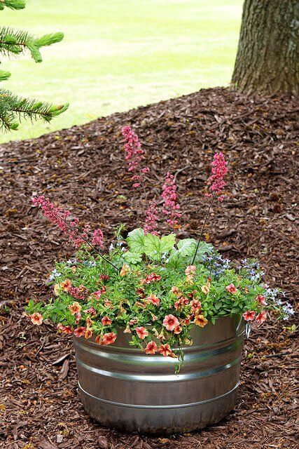 Galvanized Tub Container Garden Galvanized Tub Ideas, Drought Resistant Garden, Galvanized Containers, Georgia Garden, Diy Container Gardening, Galvanized Planters, Planters Diy, Galvanized Tub, Metal Tub