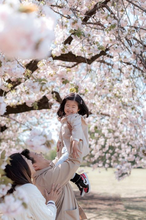 Steph V Photography | Portrait Photographer in Tokyo, Japan Cherry Blossom Pregnancy Photos, Blossom Photoshoot Family, Cherry Blossom Family Photos, Cherry Blossom Photoshoot, Blossom Photoshoot, Cherry Blossom Outfit, Evening Flowers, Blossom Pictures, Spring Blooming Trees