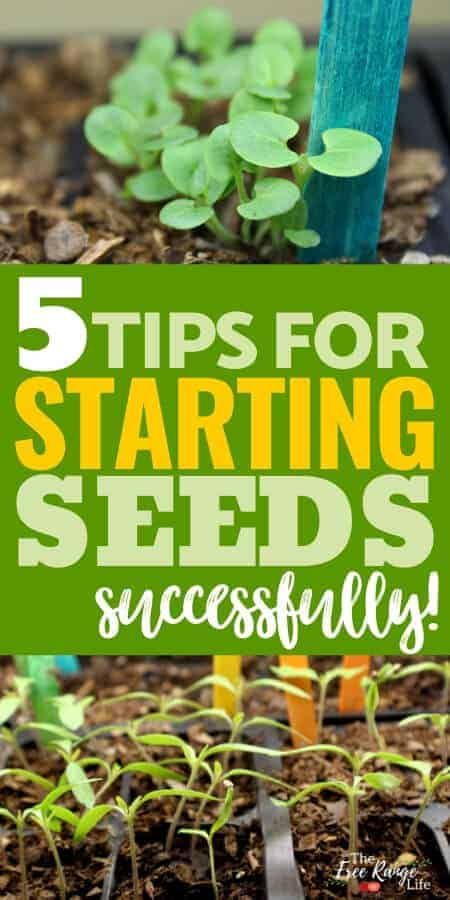 Starting Seeds, Starting Seeds Indoors, Starting A Garden, Organic Gardening Tips, Easy Garden, Veggie Garden, Seed Starting, Planting Herbs, Gardening For Beginners