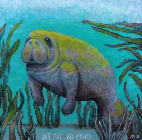 Manatee Painting Easy, Dollar Painting, Manatee Art, Manatees, Amazing Paintings, Sketchbook Ideas, Canvas Acrylic, Sand Dollar, Dream House Decor