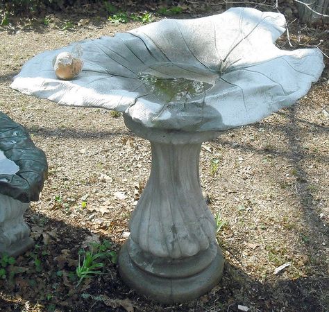 Elephant ear concrete casting bird bath Diy Elephant Ears, Concrete Bird Bath Diy, Bird Bath Diy, Large Bird Baths, Leaf Casting, Diy Elephant, Cement Sculpture, Cement Leaves, Concrete Garden Statues