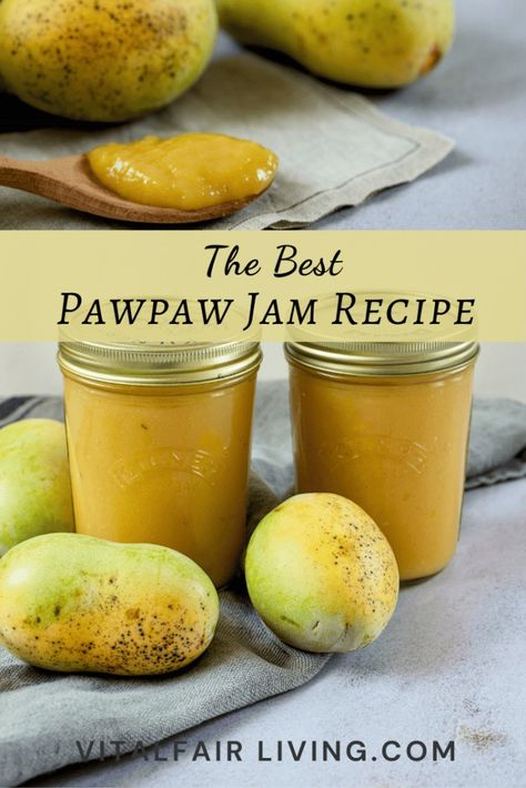 Easy Pawpaw Jam Recipe - Vital Fair Living Pawpaw Jam Recipe, Pawpaw Recipes Desserts, Paw Paw Jam, Recipes For Pawpaws, Pawpaw Fruit Recipes, Paw Paw Bread Recipe, Paw Paw Fruit Recipes, Paw Paw Recipe, Paw Paw Recipes