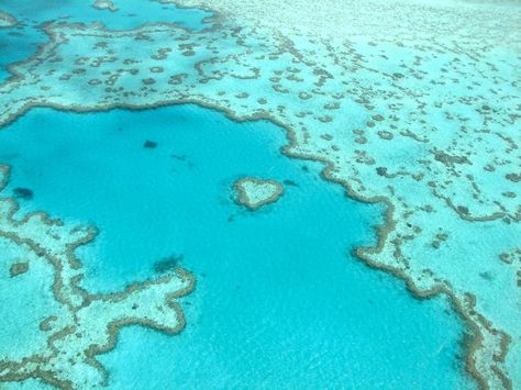 The Heart Reef in the Great Barrier Reef, Australia Hamilton Island Australia, Barrier Reef Australia, Places In Australia, The Whitsundays, Hamilton Island, Airlie Beach, The Great Barrier Reef, Luxury Resorts, Family Holidays