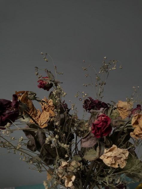 Dull Flowers Aesthetic, Cemetery Flowers Aesthetic, Faded Flowers Aesthetic, Rotting Flowers Aesthetic, Dark Academia Dried Flowers, Died Flowers Aesthetic, Dark Flower Asthetics Photos, Withering Flower Aesthetic, Conflicted Aesthetic