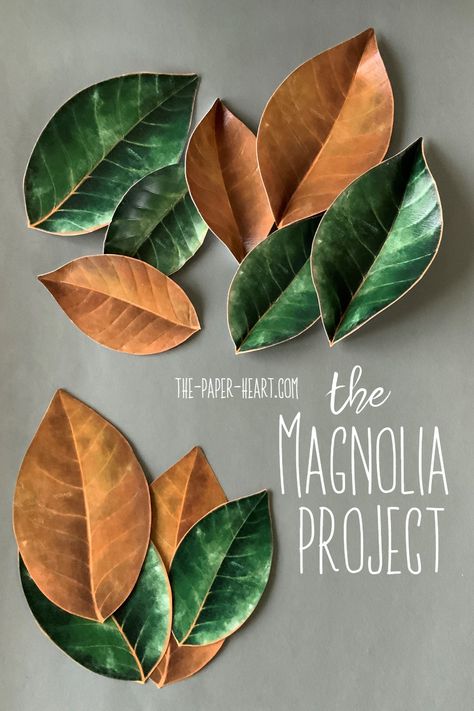 Magnolia Leaf Template, Leaf Sculpture Art, Leaf Shapes Template, How To Make Paper Leaves, Crepe Paper Leaves, Paper Magnolia, Paper Flower Arrangements, Branches Diy, Coffee Filter Flowers