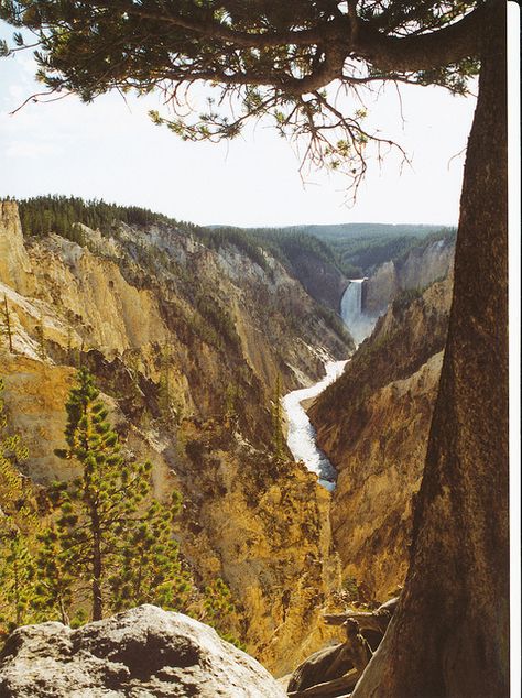 artists point - yellowstone national park, wyoming. Yellowstone Trip, Yellowstone National, Yellowstone National Park, Rocky Mountains, Natural Wonders, Wyoming, Places Ive Been, National Park, Bucket List