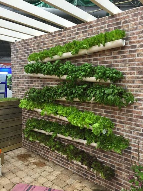 Vertical Veggie Garden Ideas, Rain Barrell, Lunar Base, Edwardian England, Gutter Garden, Indoor Farming, Portable Cabins, Vertical Garden Design, Vertical Vegetable Garden