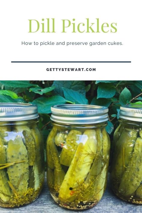 Garlic Dill Pickles Homemade Easy, Small Batch Dill Pickles Canning, Small Batch Refrigerator Dill Pickles, Small Batch Pickles Recipes, Waterbath Canning Dill Pickles, Canned Pickles Recipe Dill, Refrigerator Pickles Dill Small Batch, Small Batch Dill Pickles, Sandwich Pickles Canning