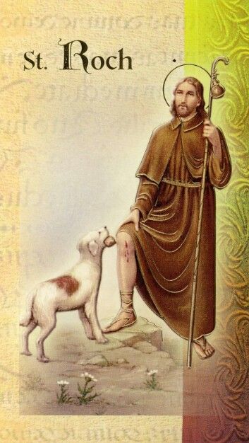 Saint Roch Maltese Yorkie Mix, St Francis Assisi, Friend Of God, Saint Roch, San Rocco, Teddy Bear Wallpaper, Holy Quotes, Bear Wallpaper, St Francis