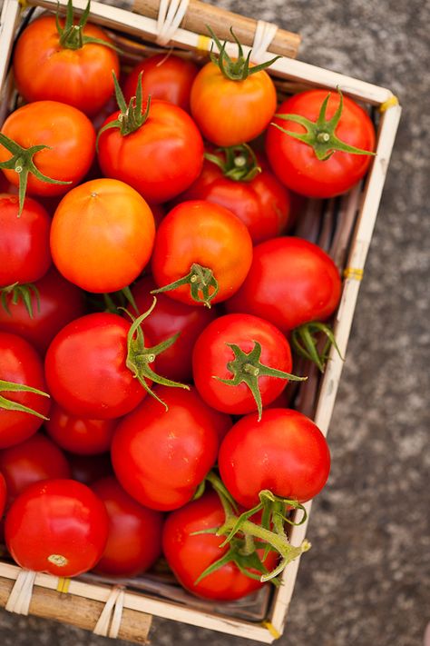 Veg Photography, Roasted Broccoli And Carrots, Pickling Spices, Growing Organic Tomatoes, Growing Organic Vegetables, Tomato Recipe, Vegetables Photography, Tomato Seedlings, Organic Tomatoes