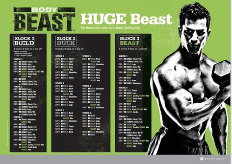 Body Beast Workout Schedule, Body Beast Workout Sheets, Workout Sheets, Beast Workout, Best Workout For Women, Shred Fat, Beachbody Programs, Body Beast, Workout Pics