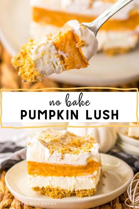 Dive into the fall season with this delicious Pumpkin Lush Dessert! Imagine a pumpkin filling, layered with cream cheese, all on a graham cracker crust. Pumpkin Cream Cheese Layered Dessert, No Bake Pumpkin Lush Pie, Pumpkin Lush Dessert 9x13, No Bake Pumpkin Lush, Pumpkin Pie Cheesecake Truffles, Pumpkin Lush Dessert Recipe, Pumpkin Lush Pie, Pumpkin Dessert Recipes Thanksgiving, No Bake Pumpkin Desserts