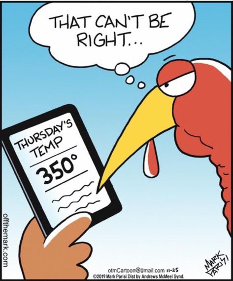 Funny Thanksgiving Pictures, Turkey Jokes, Thanksgiving Jokes, Thanksgiving Cartoon, Thanksgiving Pictures, Thanksgiving Images, Happy Turkey Day, Thanksgiving Quotes, Thanksgiving Fun