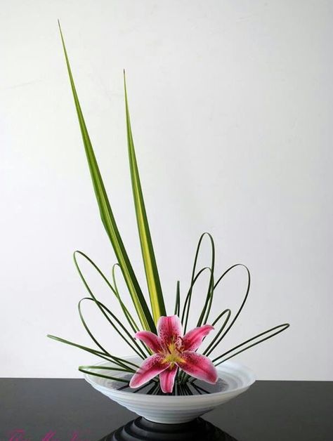 Art Floral Japonais, As Aesthetic, Arreglos Ikebana, Contemporary Flower Arrangements, Sogetsu Ikebana, Fest Temaer, Ikebana Arrangements, Ikebana Flower Arrangement, Creative Flower Arrangements