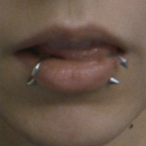 Snakebites And Septum, Grunge Piercings Face, Snake Bites And Septum, Snake Bites Aesthetic, Piercing Aesthetic Grunge, Lip Piercing Aesthetic, Snake Bites Piercing Aesthetic, Piercings Aesthetic Grunge, Guys With Lip Piercings