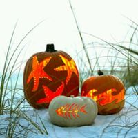 Halloween at the Beach Hallowen Ideas, Carved Pumpkins, Pumpkin Carving Patterns, Coastal Holiday, Theme Halloween, Halloween Snacks, Fall Holidays, Pumpkin Decorating, Fall Fun