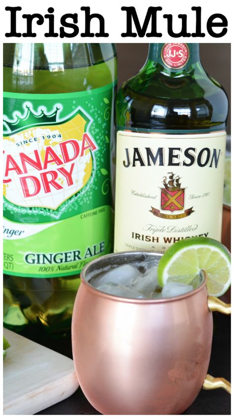 Irish Mule Recipe, St Patricks Day Cocktails, Irish Mule, Cointreau Cocktail, Whiskey And Ginger Ale, Campari Cocktail, St Patricks Day Drinks, Irish Drinks, Day Cocktails