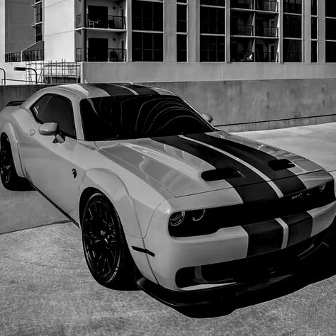 Hellcat Pfp, Dodge Challenger Black, Hell Cat, Dodge Hellcat, Dodge Challenger Hellcat, Dodge Challenger Srt Hellcat, Dodge Cars, Super Fast Cars, Grey Car