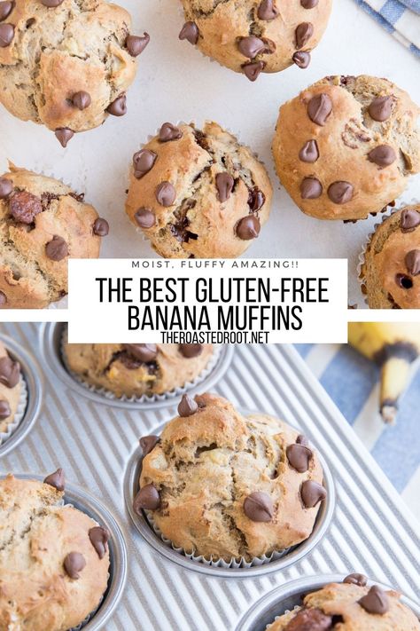 Banana Oatmeal Muffins Healthy, Fodmap Dinner, Chocolate Chip Banana Muffins, Gluten Bread, Gluten Free Banana Muffins, Awesome Desserts, Cheesecake Oreo, Muffins Recipes, Amazing Breakfast