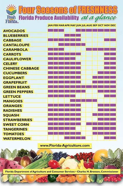 Florida's seasonal Fruits and Vegetables South Florida Vegetable Gardening, Homesteading In Florida, Florida Gardens, Seasons Chart, Florida Garden, Florida Landscaping, Florida Plants, Homestead Life, Florida Gardening