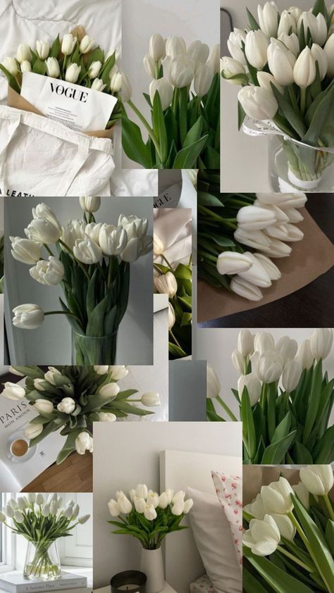 Tulip Flower Pictures, Pretty Flowers Pictures, Symbol Of Hope, Flowers Tulips, Boquette Flowers, Tulip Fields, Nothing But Flowers, Flower Therapy, White Tulips