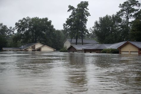 Flooded House, Houston Police, Flood Insurance, The Weather Channel, Local Government, Natural Disasters, Houston, Government, Texas