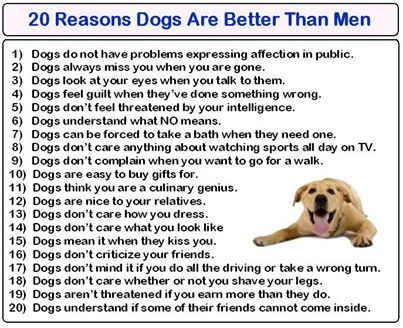 20 reasons dogs are better than men... Dogs Are Better Than Men, Dog Remedies, Paper Stuff, Human Food, Dog Safety, Man And Dog, Pet Stuff, Love Pet, Safety Tips