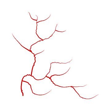 Vein Drawing Reference, Red Veins Tattoo, Eye Veins Drawing, Red Vein Tattoo, Blood Vessels Drawing, Veins Illustration, Red Veins In Eyes, Vein Drawing, Veins Tattoo