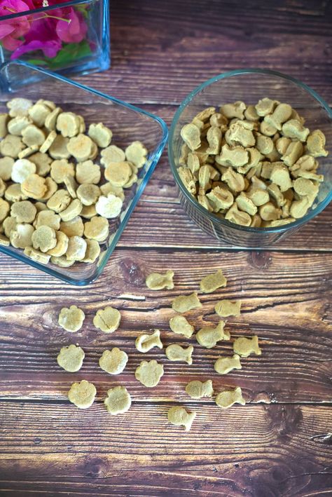 This easy homemade salmon cat treats are grain free and a healthy treat for your cats. Salmon treats for cats are also gluten free and made with just a few ingredients. Diy Cat Treats, Salmon Cat, Treats For Cats, Gluten Free Salmon, Pet Treats Recipes, Food Cat, Healthy Treat, Cat Treat Recipes, Baking Tins