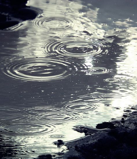 Rain And Thunder Sounds, Morning Rain, Rain And Thunder, Night Rain, Rain Rain, Love Rain, Widescreen Wallpaper, Nature Water, Water Ripples