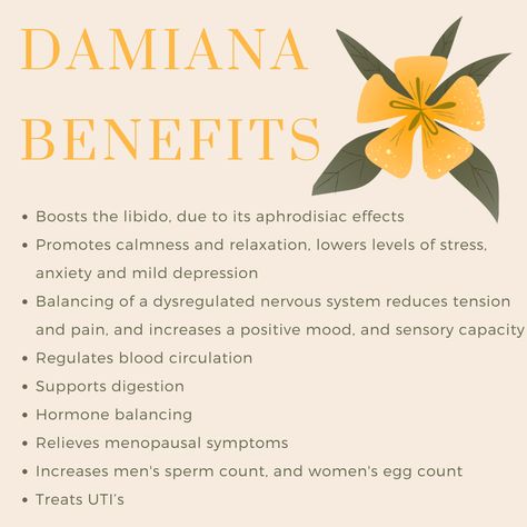 DAMIANA benefits, tips, and support on the body and functions medicinally | powerful herb healing Damiana Benefits, Damiana Tea, Herb Healing, Dysregulated Nervous System, Libido Boost For Men, Prostate Health Men, Libido Boost, Medical Herbs, How To Regulate Hormones