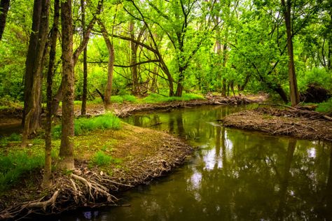 Allegheny National Forest, Autumn Waterfalls, Harrisburg Pennsylvania, Edisto Island, Botany Bay, Landscape Art Prints, Live Oak Trees, Nature Art Prints, Free Art Print