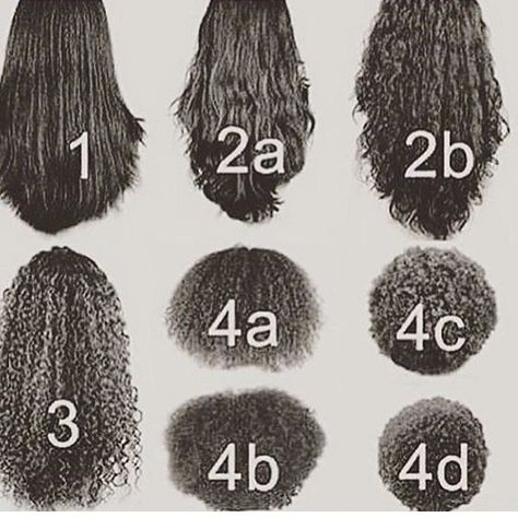 Curl Patterns. The hair is probably all the same length, but shrinkage is  happening Cantu Hair Products, Cabello Afro Natural, Hair Transition, Big Chop, Curly Hair Routine, Natural Hair Tips, Natural Hair Journey, Curly Hair Care, Curly Hair Tips