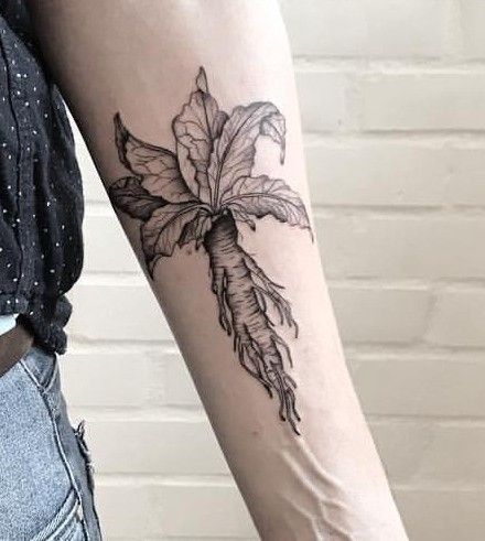 Mandrake Tattoo, Harry Potter Tattoo, Spooky Stickers, Body Mods, Leaf Tattoos, Leg Tattoos, Flower Tattoo, Tatting, Tattoos