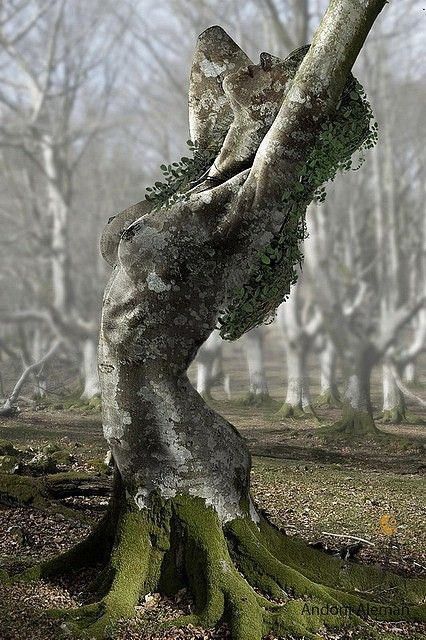 Boom Kunst, Tree Carving, Land Art, Pics Art, Beautiful Tree, Tree Art, In The Woods, Mother Earth, A Tree