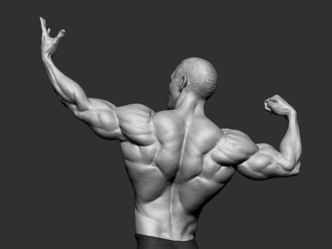 н Male Back Muscles Reference, Male Back Anatomy Reference, Back Muscle Reference, Back Muscles Male, Male Back Anatomy, Muscular Male Reference, Arm Muscle Reference, Muscular Body Reference, Muscular Back Reference