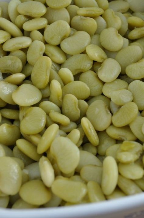 How to Cook Lima Beans Fresh Lima Beans How To Cook, How To Cook Lima Beans On Stove, How To Cook Lima Beans, Fresh Lima Bean Recipes, Frozen Lima Bean Recipes, Canned Lima Beans, Lima Beans In Crockpot, Green Lima Beans, Salads Protein