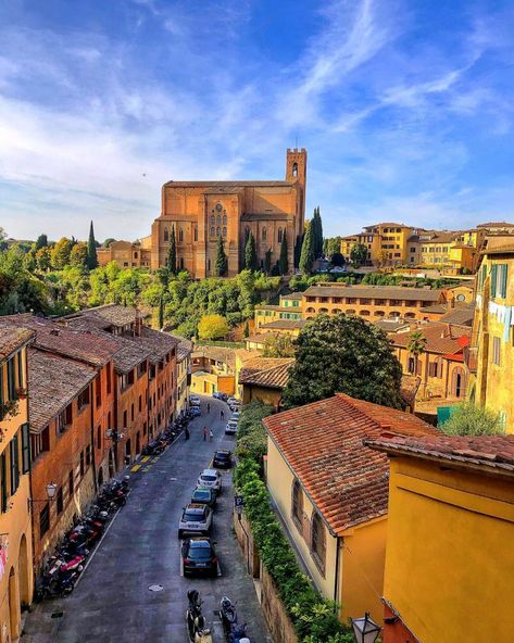 Brunello Di Montalcino, San Domenico, Italian Aesthetic, Siena Italy, Under The Tuscan Sun, Italy Aesthetic, Italy Travel Guide, Europe Summer, Siena