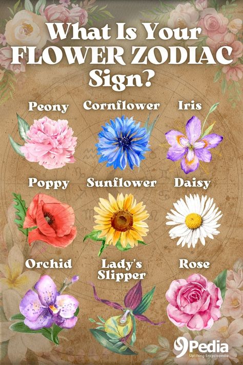 The 9 Flower Zodiac Signs And Their Meaning – What Is My Flower Sign? #flowersign #flowerzodiac #zodiac #flowertotem #flowerspirit #floralzodiac Zodiac Birth Flowers, Virgo Flowers Zodiac, Taurus Zodiac Flower, Zodiac Flowers Birth Month, Types Of Flowers And Meanings, Birthflower Zodiac Tattoo, Flower Zodiac Signs, Gemini Flower Tattoo, Zodiac Flower Tattoo