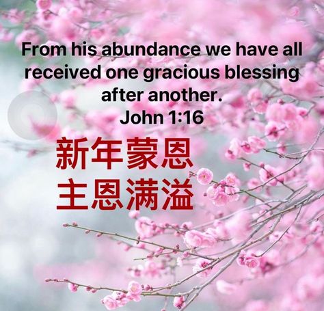 Chinese Greetings, Lunar New Year Greetings, Jesus Quotes Inspirational, Cny Greetings, Cny 2024, Chinese New Year Wishes, Kong Art, John 1 16, Dragon 2024