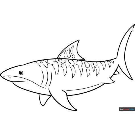 Free Tiger Shark Coloring Page for Kids Shark Outline Tattoo, Shark Drawing Easy, Shark Outline, Kids Printable Coloring Pages, Easy Drawing Guides, Shark Pictures, Shark Drawing, Free Printable Coloring Sheets, Sharks For Kids