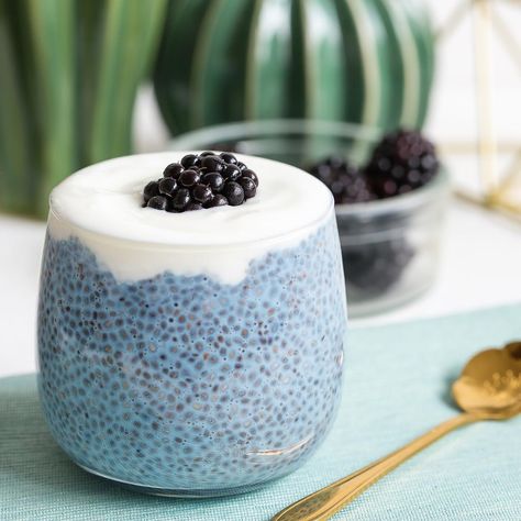 Alkaline Snacks, Spirulina Recipes, Chia Pudding Recipes Healthy, Chia Seed Pudding Recipe, Keto Chia Pudding, Coconut Milk Yogurt, Greek Yogurt Flavors, Chia Seed Recipes Pudding, Baking Measurements