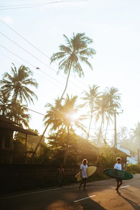 The Surf · Sunshinestories Surf Camp Yoga Retreat Sri Lanka Sri Lanka Surf, Surf Aesthetic, Freedom Travel, Meditation Retreat, Morning Commute, Surf Camp, Surf Lifestyle, Surfing Photography, Surf Trip