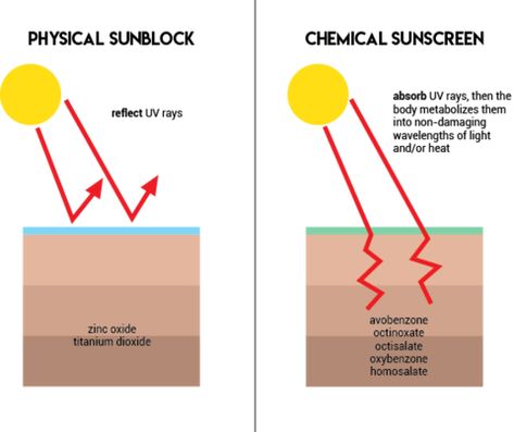 PHYSICAL SUNSCREEN vs CHEMICAL SUNSCREEN |What is best for our skin? - Mission BeYoutiful Blog Hormone Disruptors, Sunscreen Ingredients, Coral Reef Ecosystem, Physical Sunscreen, Chemical Sunscreen, How To Make Brown, Olive Skin, Deep Skin, Chemical Reactions