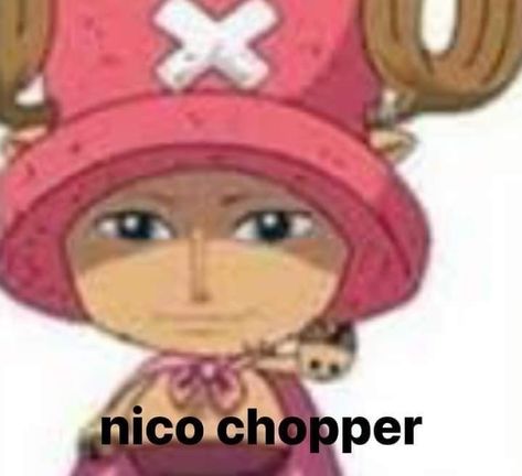 Universal Language, Chopper, The Ordinary, One Piece, Beauty