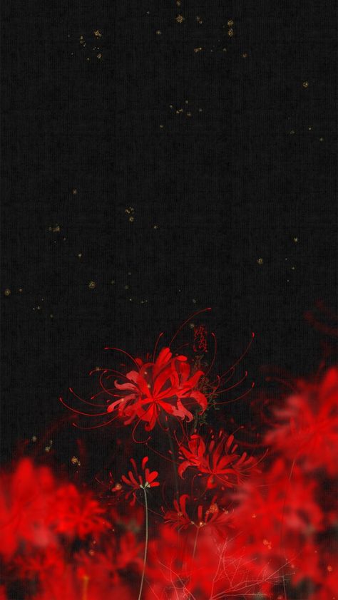 Whats Wallpaper, Japanese Wallpaper Iphone, Lily Wallpaper, Red Spider Lily, Cocoppa Wallpaper, Image Swag, Dark Wallpaper Iphone, Cool Anime Wallpapers, Cool Wallpapers Art