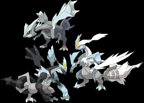 Black Kyurem, White Kyurem, Black Pokemon, Pokemon Teams, My Pokemon, Monster Design, Pokemon Trainer, Digimon, Pokemon