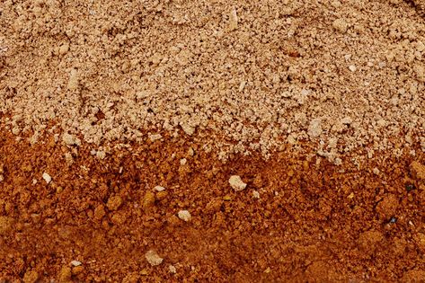 Everyone's heard of clay soil, but do you really know what it is? If your #garden beds are clay, here's what you need to know — and it's not all bad. Clay Modelling Ideas, Small Houseboats, Unique Airbnb, Modelling Ideas, Clay Modelling, Tongue And Groove Ceiling, The Family Handyman, Band Saw, Sandy Soil