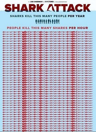 Per HOUR Shark Awareness, Shark Finning, Shark Stuff, Save The Sharks, Shark Bait, Stop Animal Cruelty, Shark Fin, Most Asked Questions, Marine Conservation